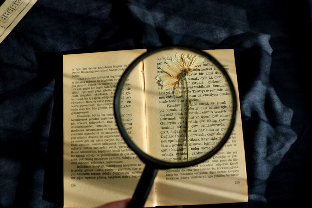 pexels photo 10769999.jpeg